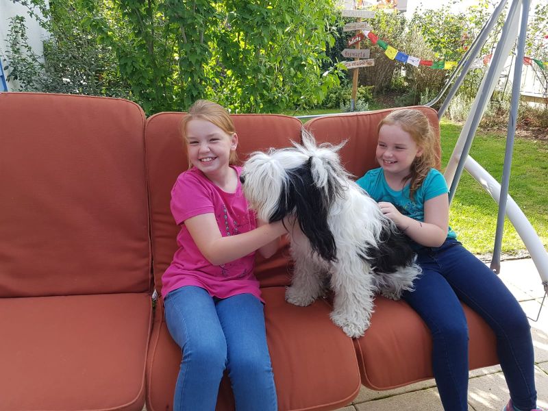 Welpentreffen 10.08.2019